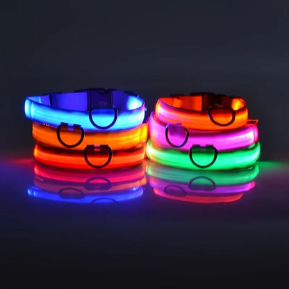 Nylon LED Illuminated Night Safety Dog Leash and Luminous Fluorescent Collar