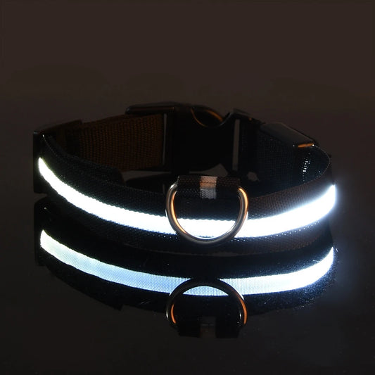 Nylon LED Illuminated Night Safety Dog Leash and Luminous Fluorescent Collar