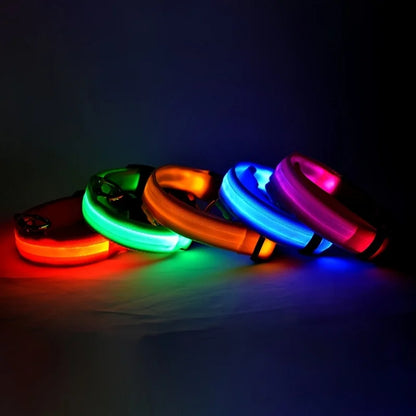 Nylon LED Illuminated Night Safety Dog Leash and Luminous Fluorescent Collar
