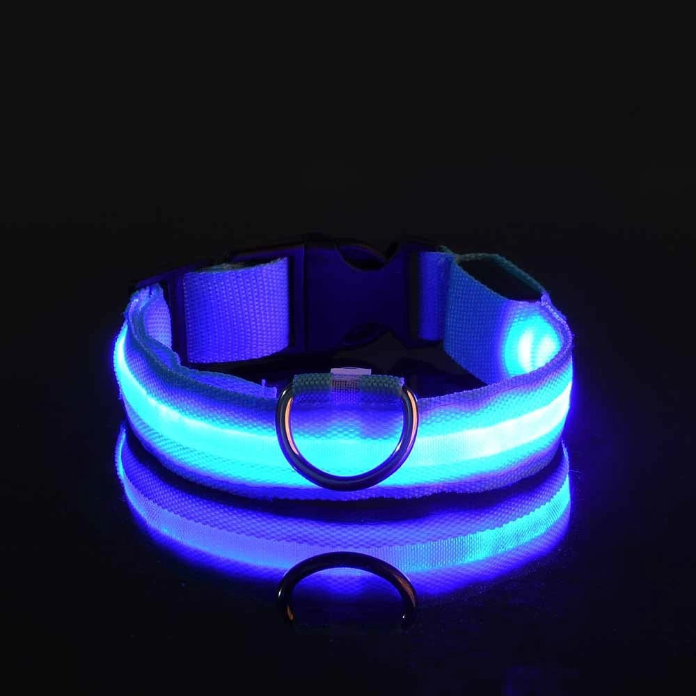 Nylon LED Illuminated Night Safety Dog Leash and Luminous Fluorescent Collar