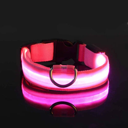 Nylon LED Illuminated Night Safety Dog Leash and Luminous Fluorescent Collar