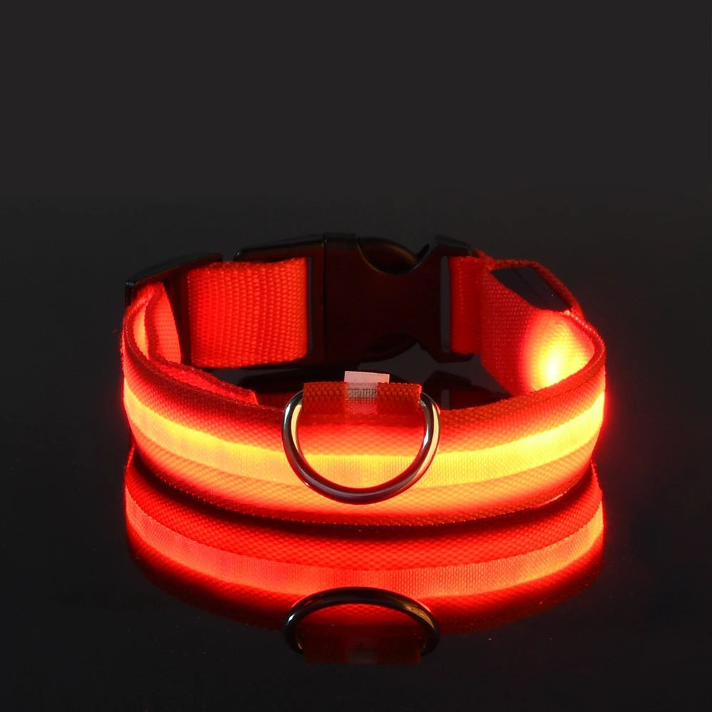 Nylon LED Illuminated Night Safety Dog Leash and Luminous Fluorescent Collar