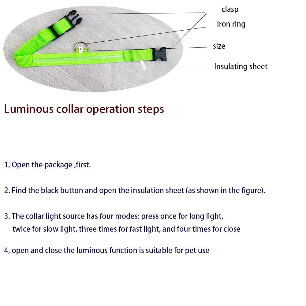Nylon LED Illuminated Night Safety Dog Leash and Luminous Fluorescent Collar