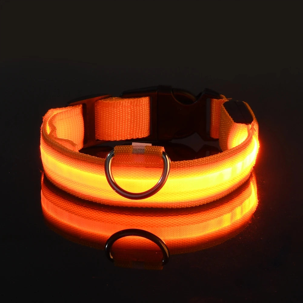Nylon LED Illuminated Night Safety Dog Leash and Luminous Fluorescent Collar