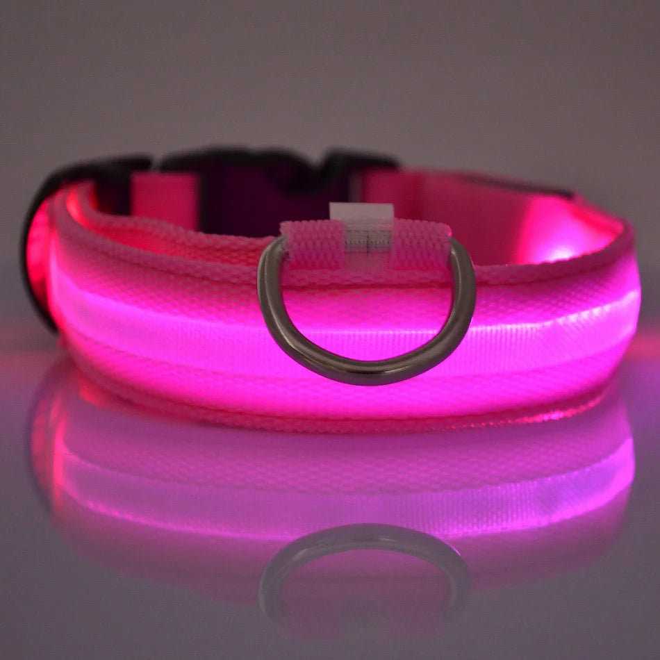 Nylon LED Illuminated Night Safety Dog Leash and Luminous Fluorescent Collar
