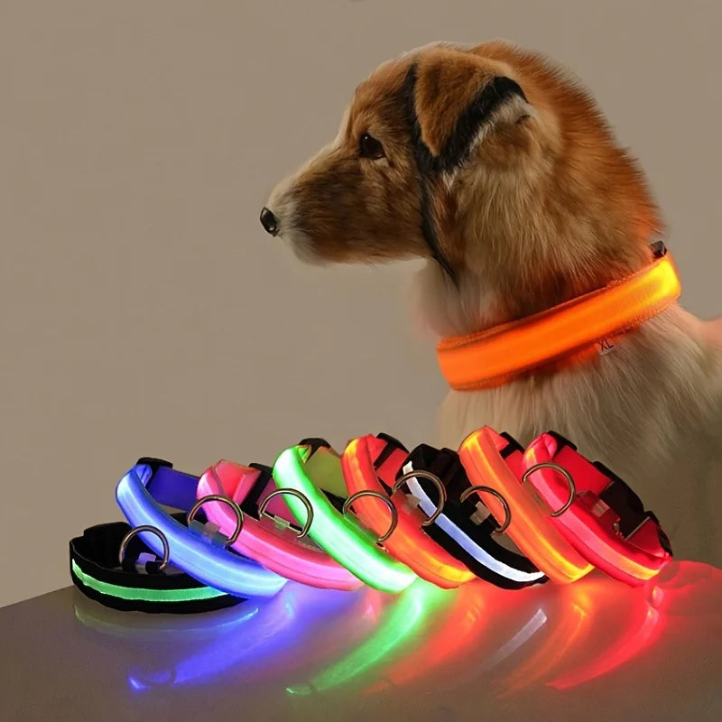 Nylon LED Illuminated Night Safety Dog Leash and Luminous Fluorescent Collar