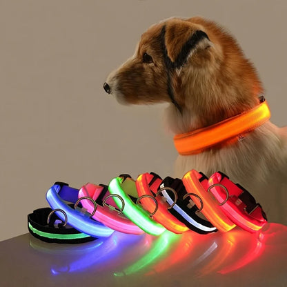 Nylon LED Illuminated Night Safety Dog Leash and Luminous Fluorescent Collar