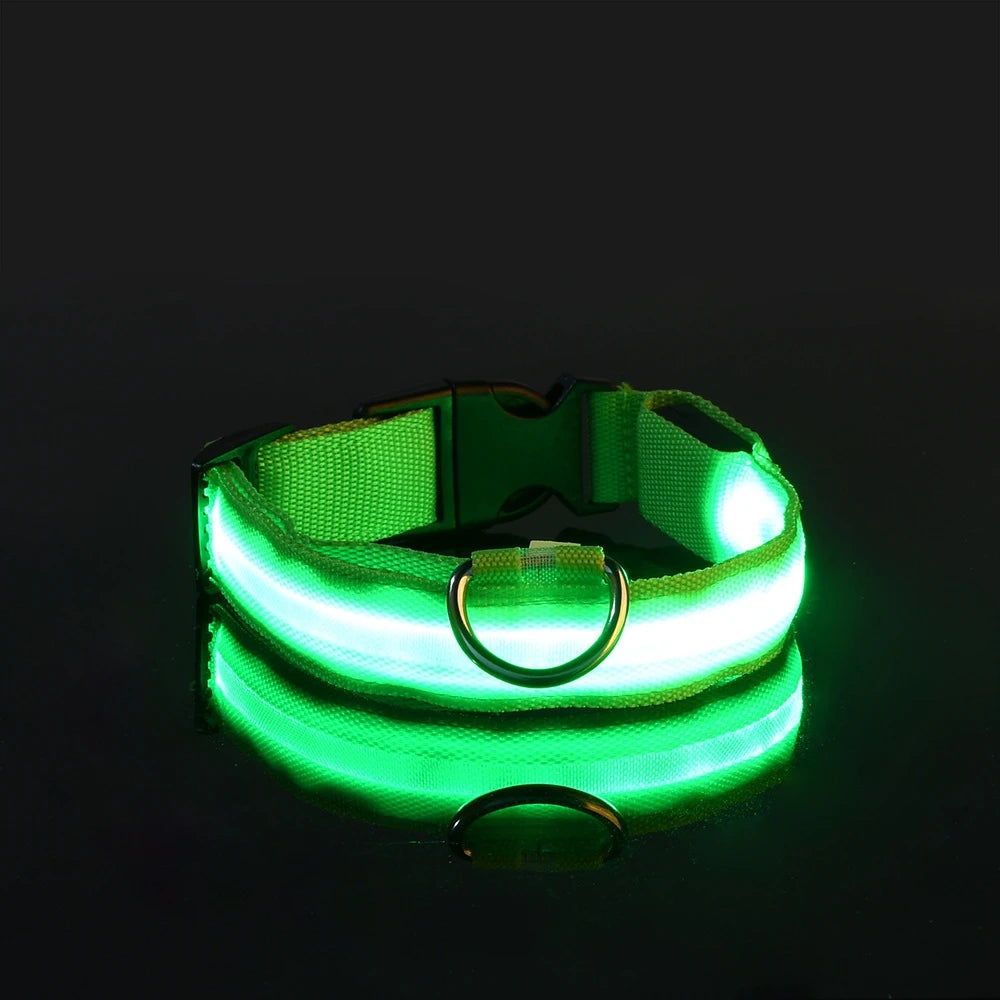 Nylon LED Illuminated Night Safety Dog Leash and Luminous Fluorescent Collar