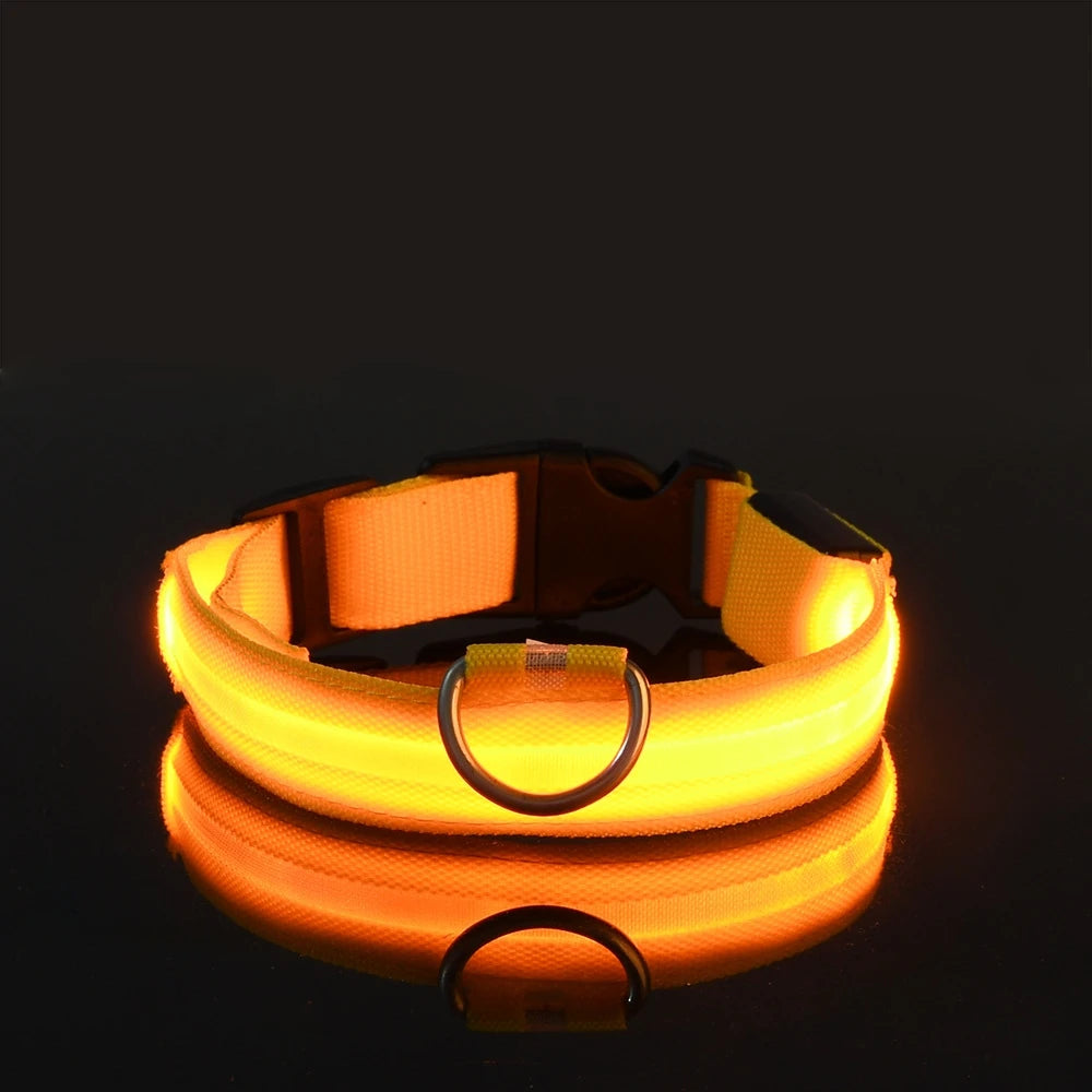 Nylon LED Illuminated Night Safety Dog Leash and Luminous Fluorescent Collar